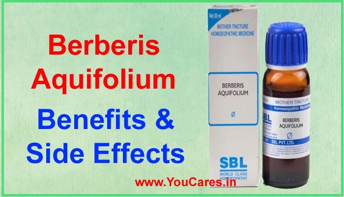 Berberis Aquifolium Homeopathic uses in Hindi